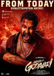 دانلود فیلم هندی باند گوداواری Gangs of Godavari 2024 با دوبله فارسی