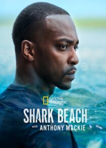 دانلود مستند ساحل کوسه با آنتونی مکی Shark Beach with Anthony Mackie 2024 دوبله فارسی
