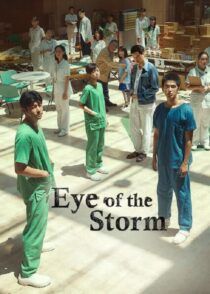 دانلود فیلم چشم طوفان Eye of the Storm 2023 با دوبله فارسی
