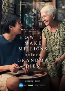 دانلود فیلم How to Make Millions Before Grandma Dies 2024 با دوبله فارسی